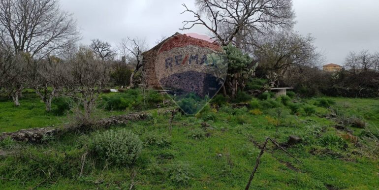 20250417164149-938386-4