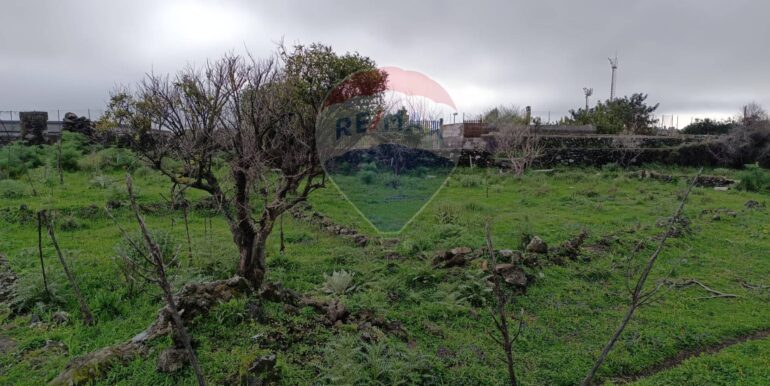 20250417164151-938386-5