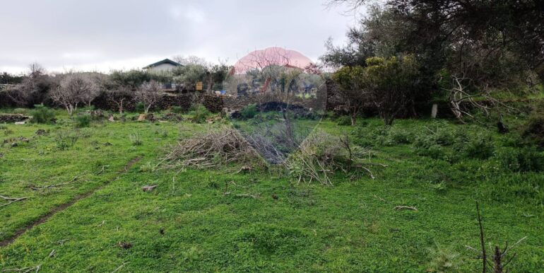 20250417164153-938386-6