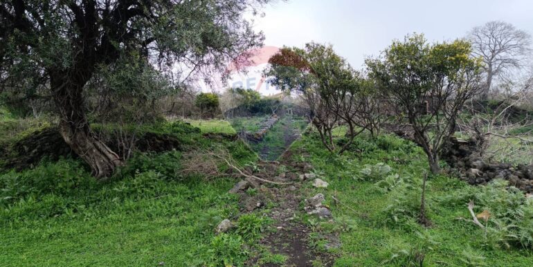 20250417164155-938386-7