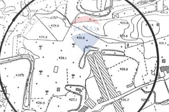 20250417164215-938386-10