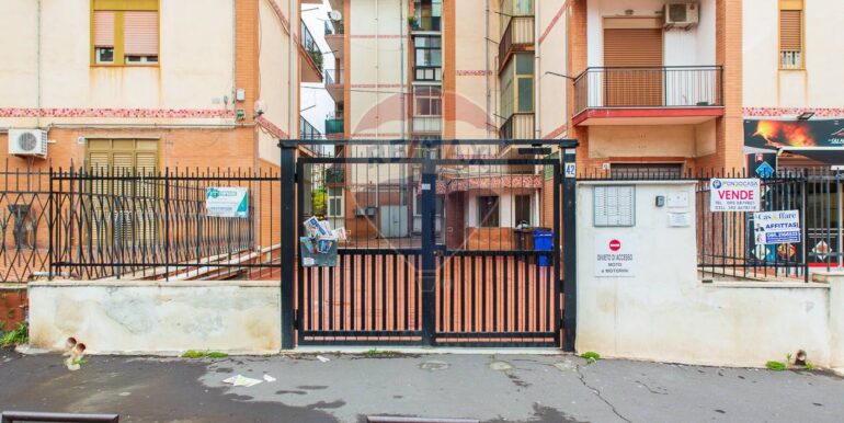 2025041795819-944404-4