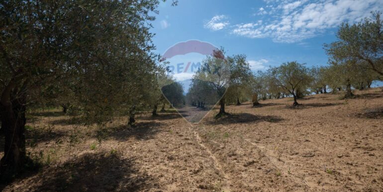 2025050294005-946048-1