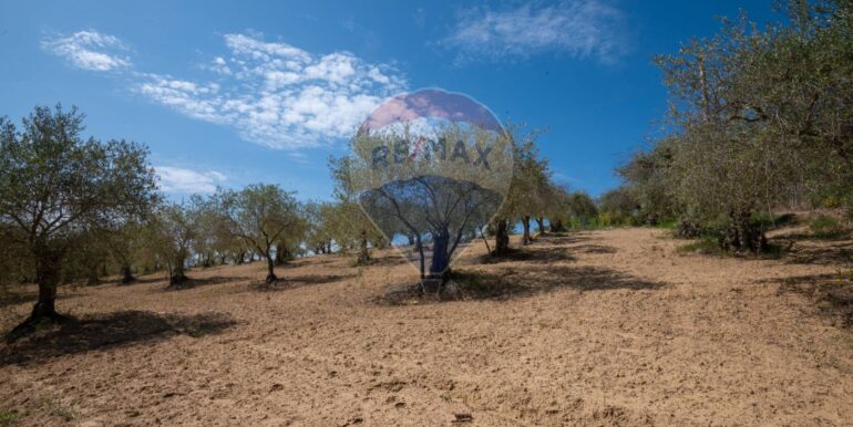 2025050294008-946048-2