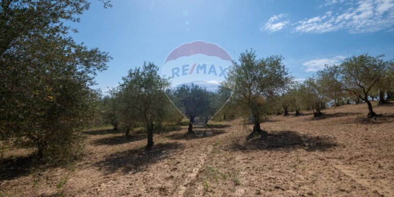 2025050294011-946048-3