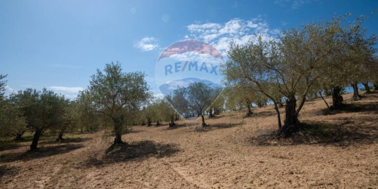 2025050294013-946048-4