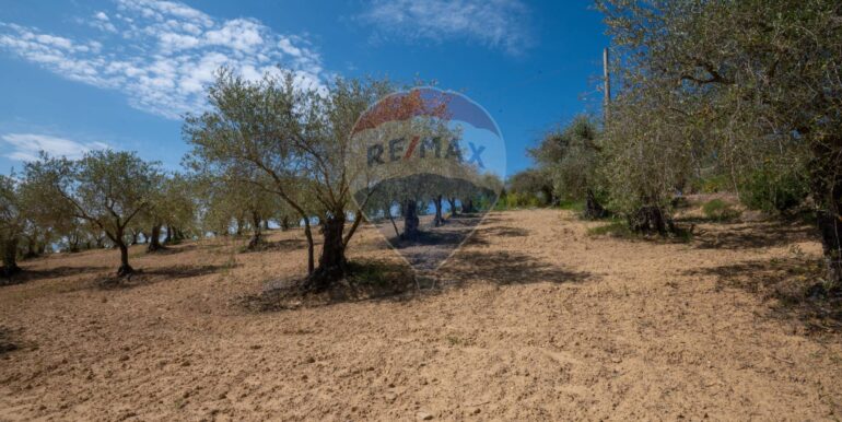 2025050294016-946048-5