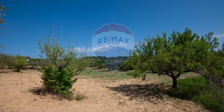 2025050294019-946048-6