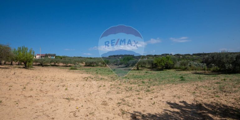 2025050294021-946048-7