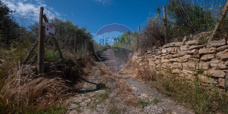 2025050294024-946048-8