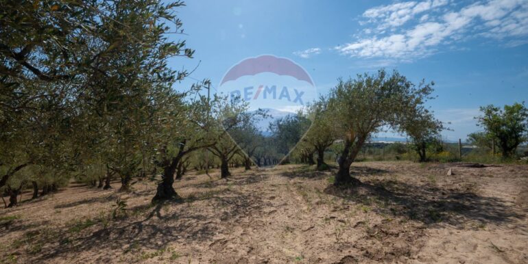 2025050294027-946048-9