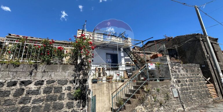 2025050391303-946428-7