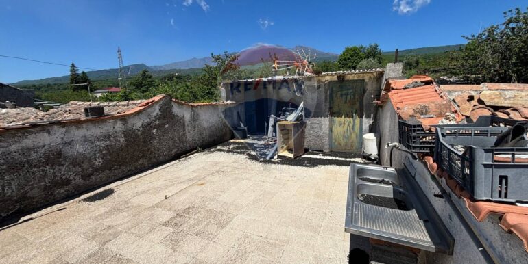 2025050391304-946428-11