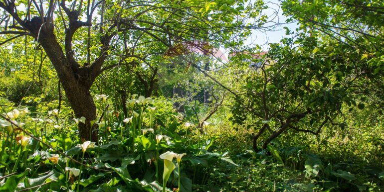 20250505162059-946924-9