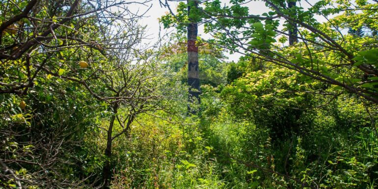 20250505162102-946924-10