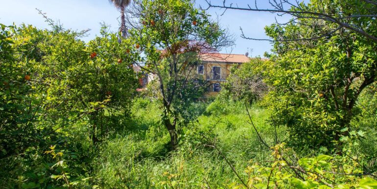 20250505162106-946924-11