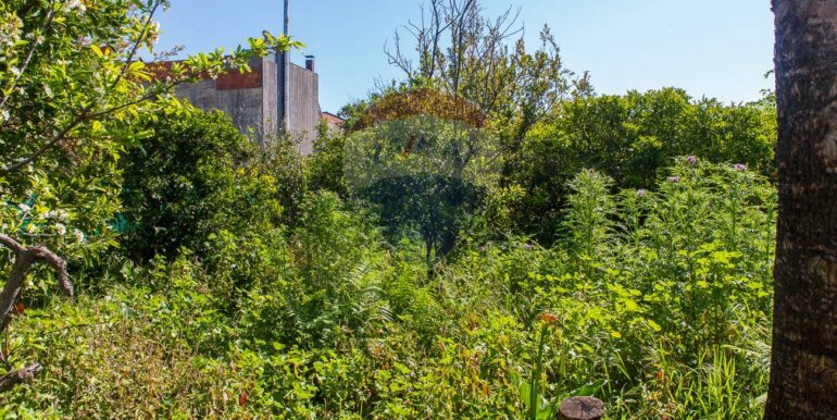 20250505162109-946924-12