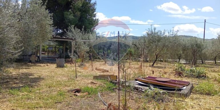 20250507182436-947202-1