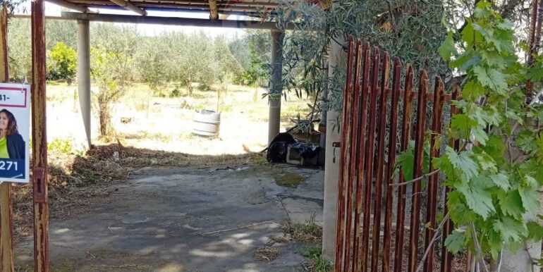 20250507182440-947202-2