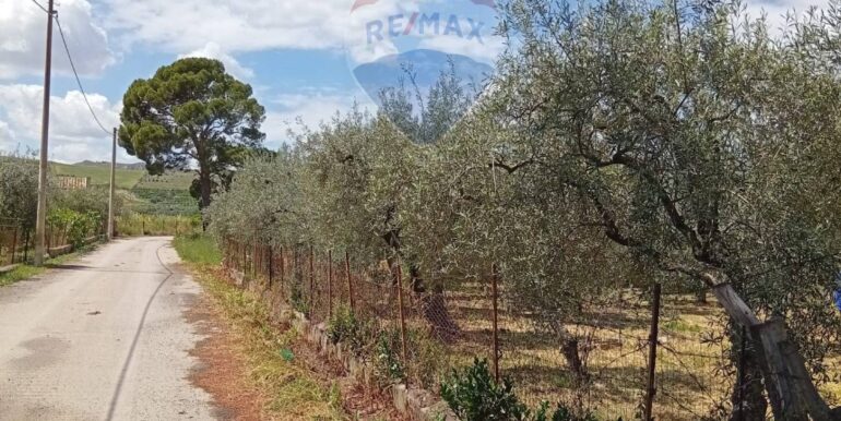 20250507182452-947202-3