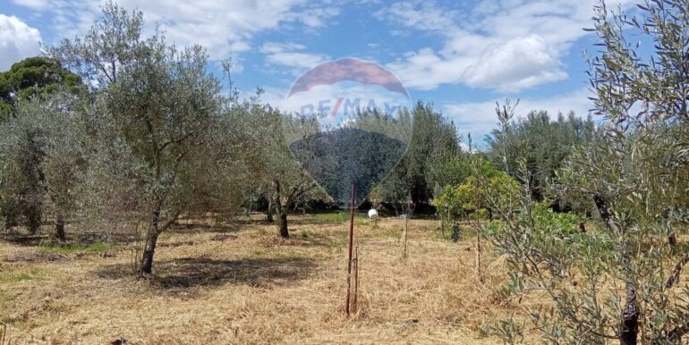 20250507182455-947202-4