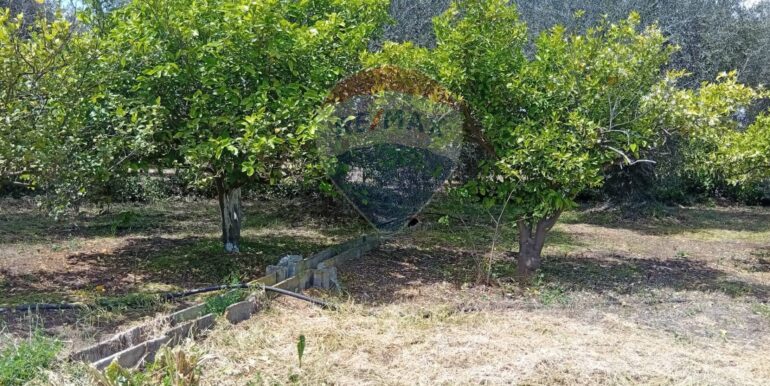 20250507182459-947202-5