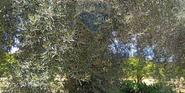 20250507182504-947202-6