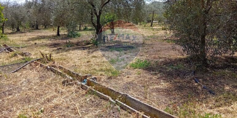 20250507182511-947202-7