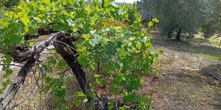 20250507182522-947202-11