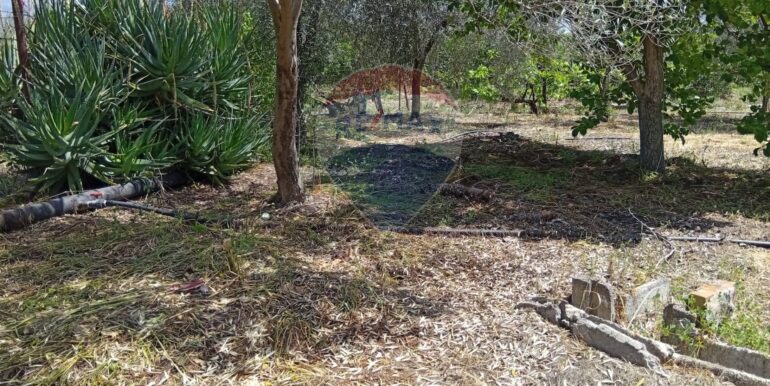 20250507182528-947202-12