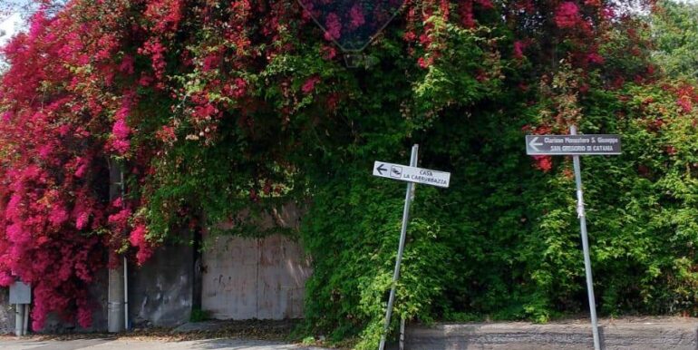 20250518202921-944170-7