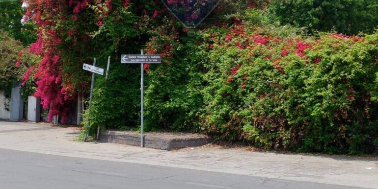 20250518202924-944170-8