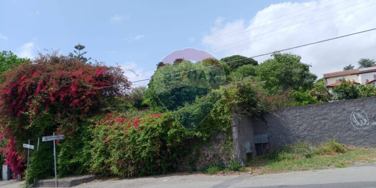 20250518202925-944170-9