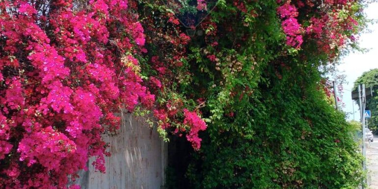 20250518202927-944170-10