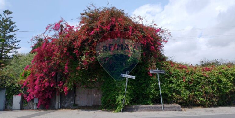 20250518202929-944170-11