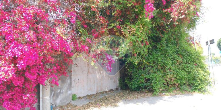 20250518202931-944170-12