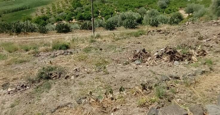 20250519105806-926837-14