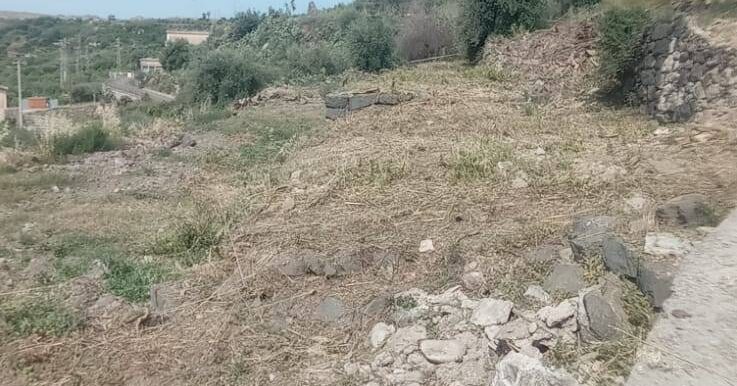 20250519105814-926837-23