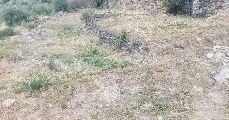 20250519105815-926837-24