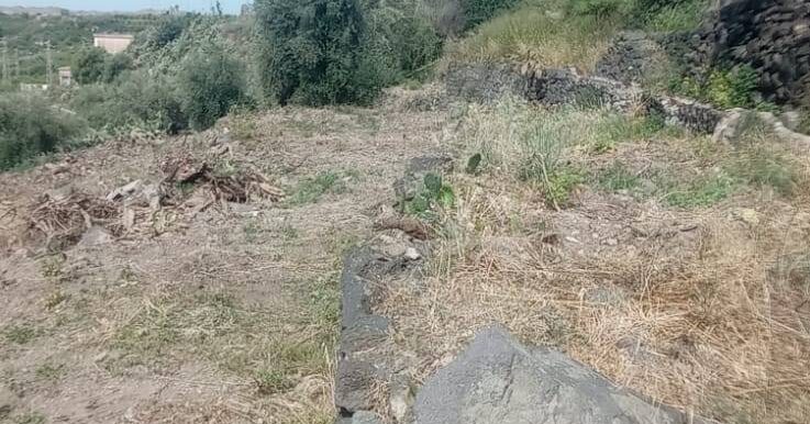 20250519105816-926837-25