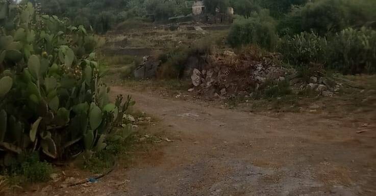 20250519105818-926837-27