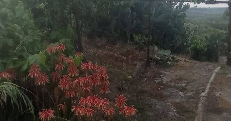 20250519105819-926837-28