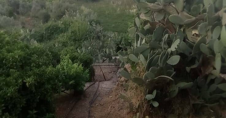 20250519105820-926837-29