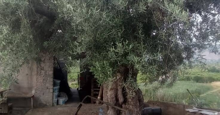 20250519105821-926837-30