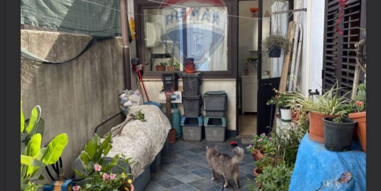 20250521195213-950830-9