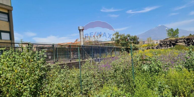 20250524122615-951425-5