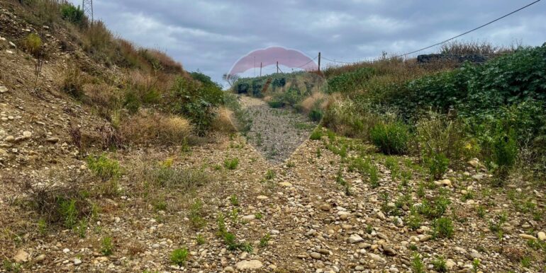 2025052684645-938934-3