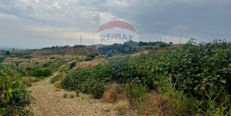 2025052684649-938934-5