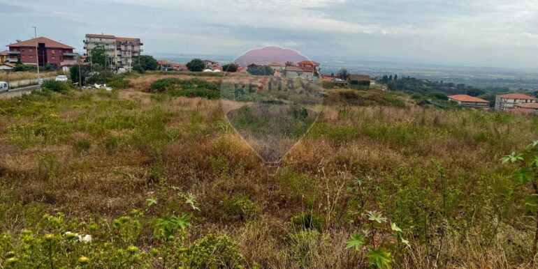 2025052684654-938934-7