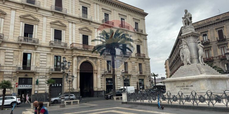 20250527111326-924017-4